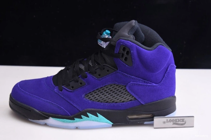 Reps TBkick Jordan Alternate 136027-500 Retro 5 Grape Air 0814
